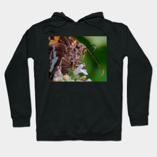 Happy Butterfly Macro Photograph Hoodie